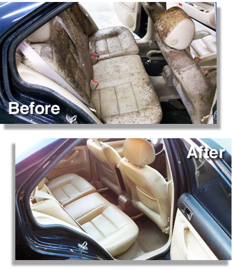 Professional Car Mold Removal: Complete Guide